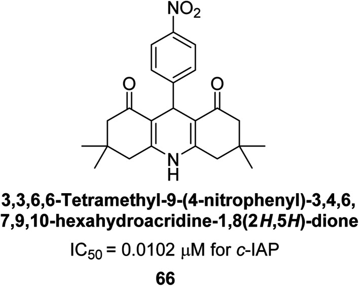 Fig. 24