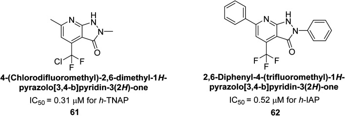 Fig. 21