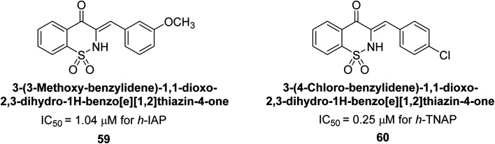 Fig. 20