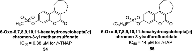 Fig. 17