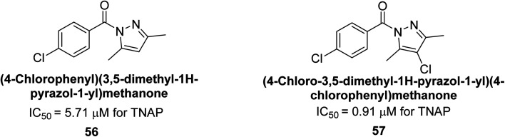 Fig. 18