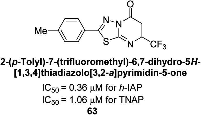 Fig. 22