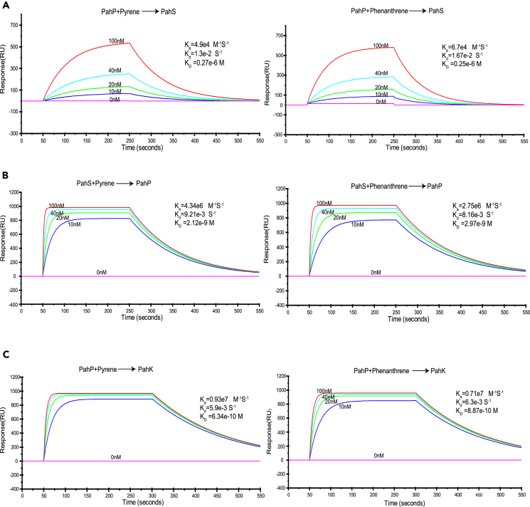 Figure 4