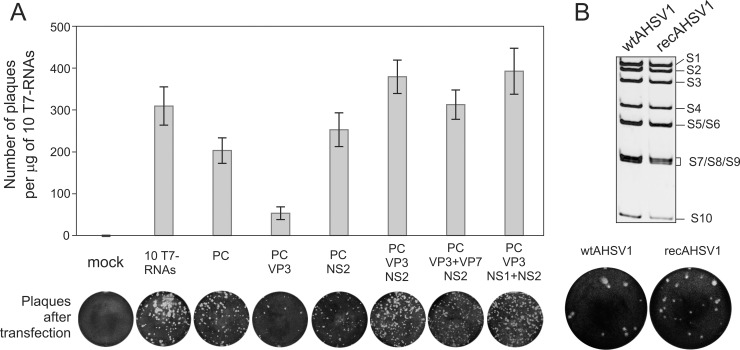 FIG 2