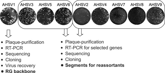 FIG 1