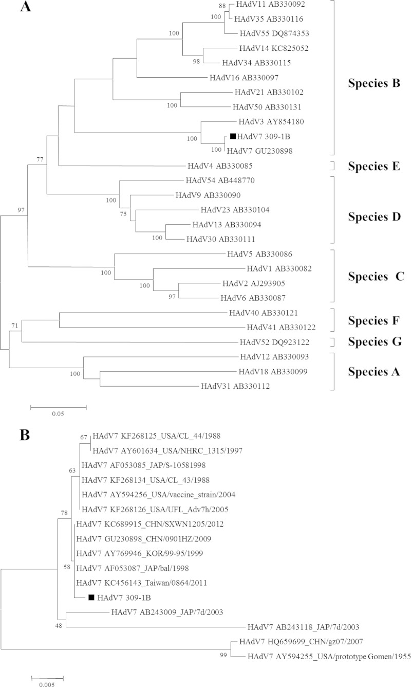 FIG 2