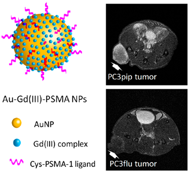 graphic file with name nihms-1804227-f0006.jpg