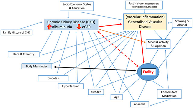 graphic file with name nihms-1842110-f0001.jpg