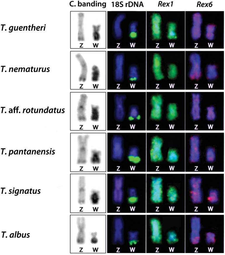 Figure 3.