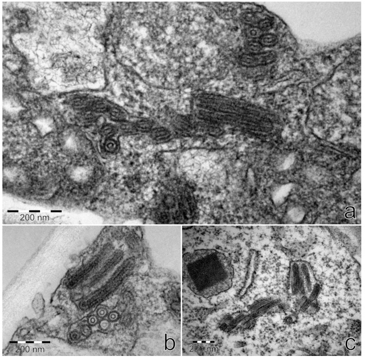 Figure 13