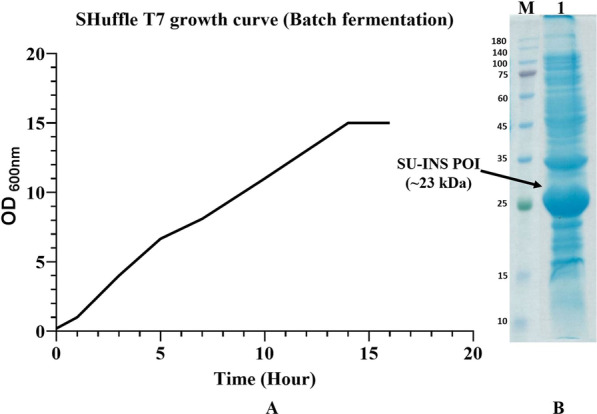 Fig. 9