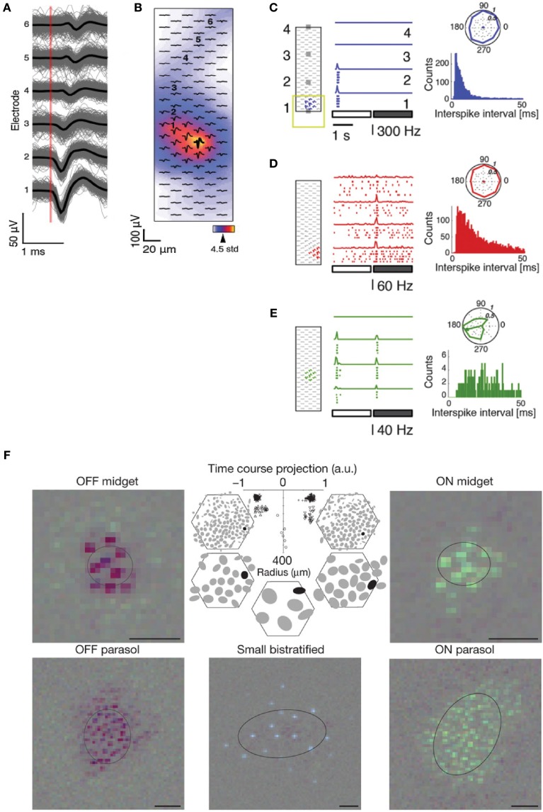 Figure 11