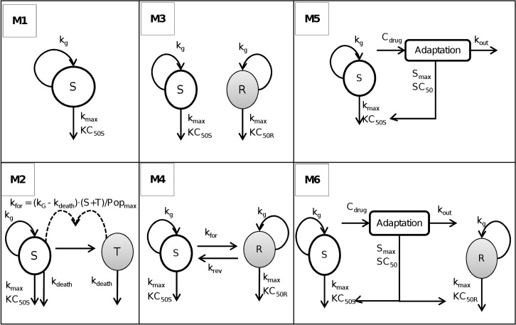 Fig 2