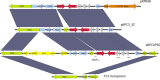 FIG 1