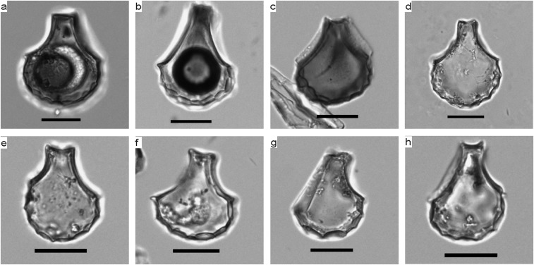 Fig. S5.