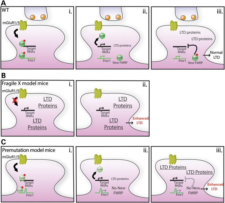 Figure 7.