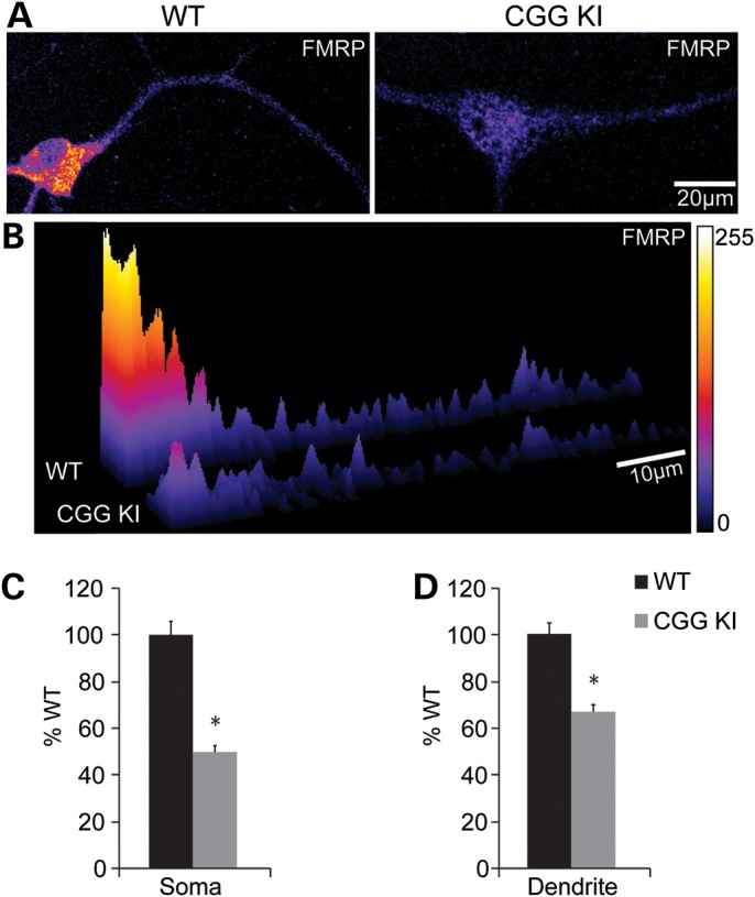 Figure 2.