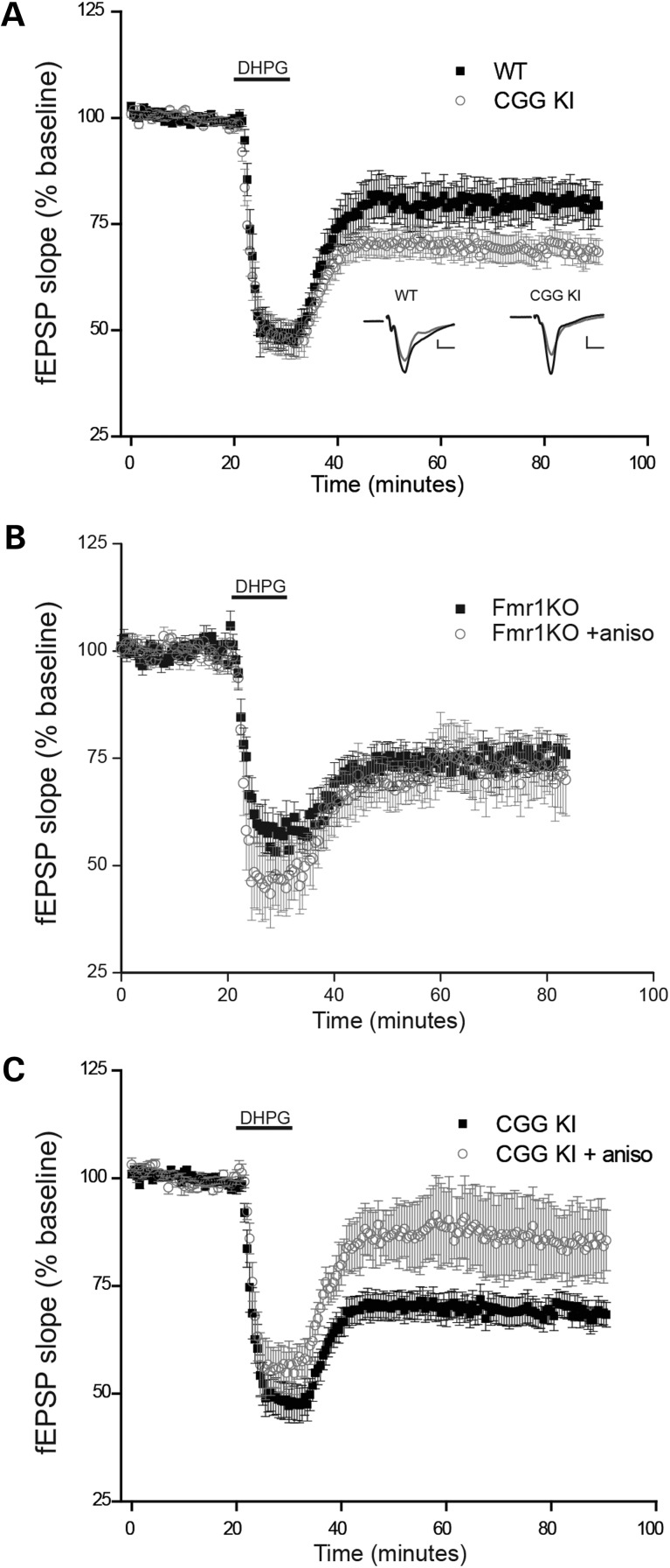 Figure 6.