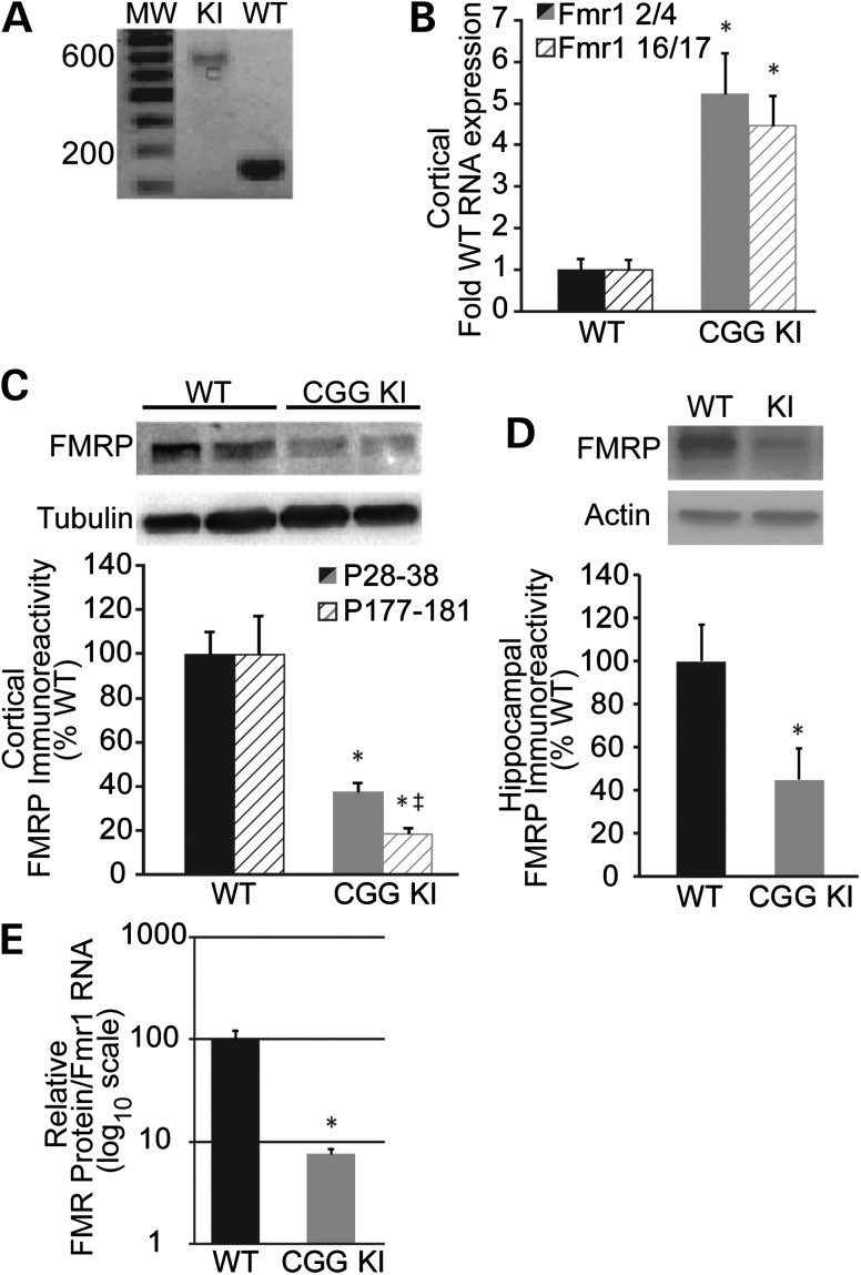 Figure 1.