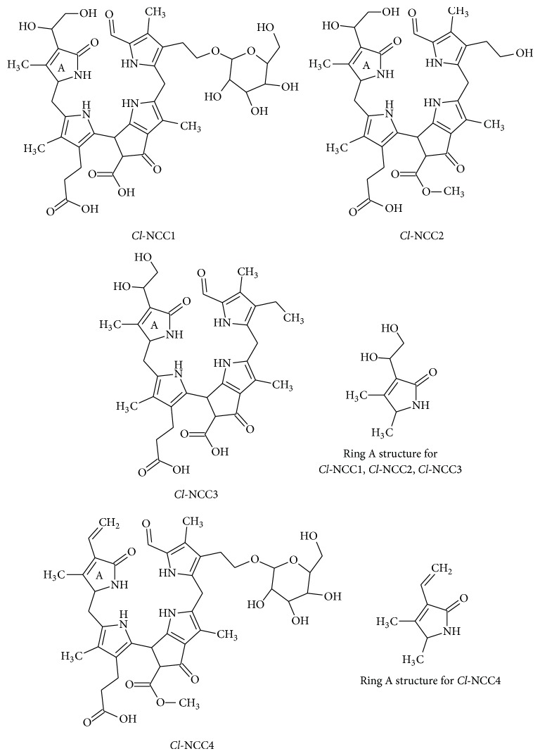 Scheme 2