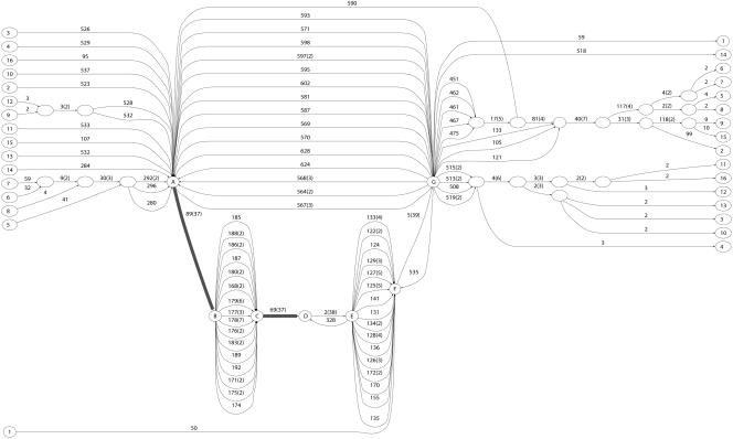 Figure 11.