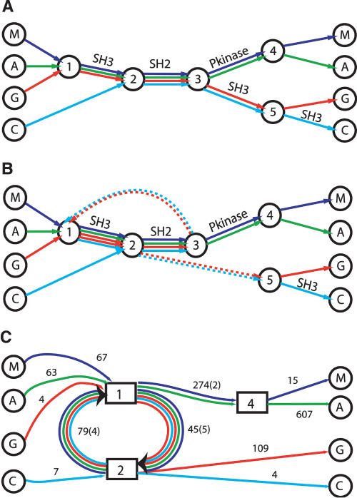 Figure 8.