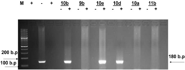 Fig. (3)