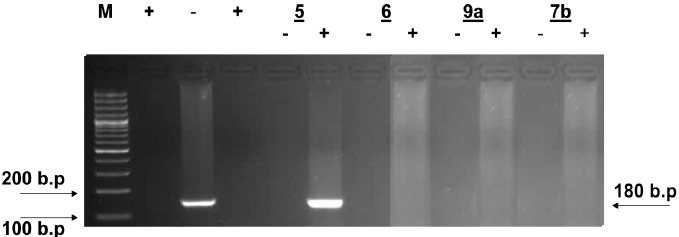 Fig. (2)