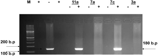 Fig. (1)