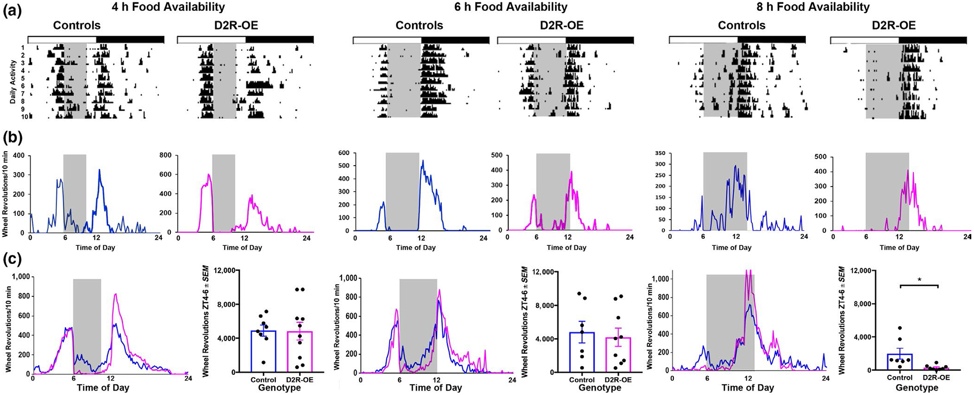 FIGURE 3