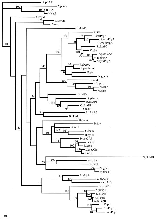 FIG. 7