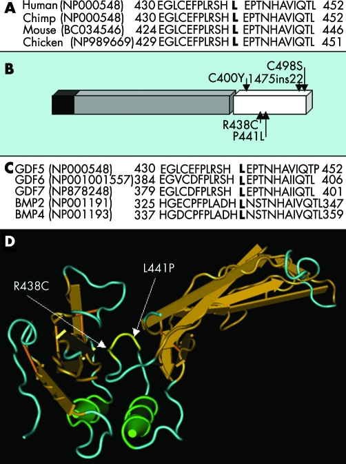 graphic file with name mg34058.f4.jpg