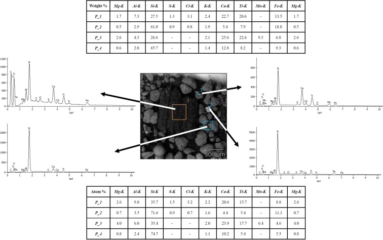 Fig. 5