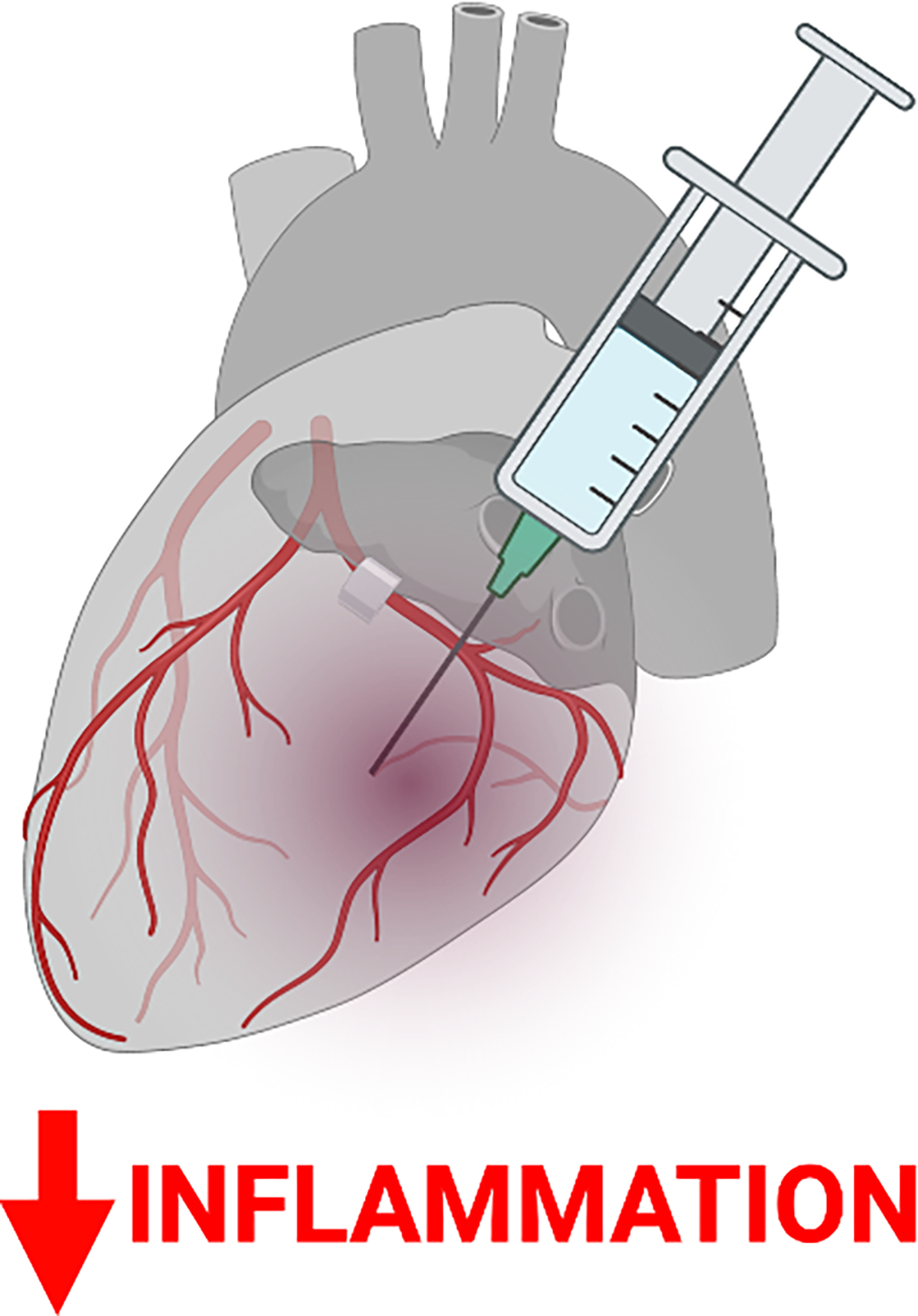 Figure 1: