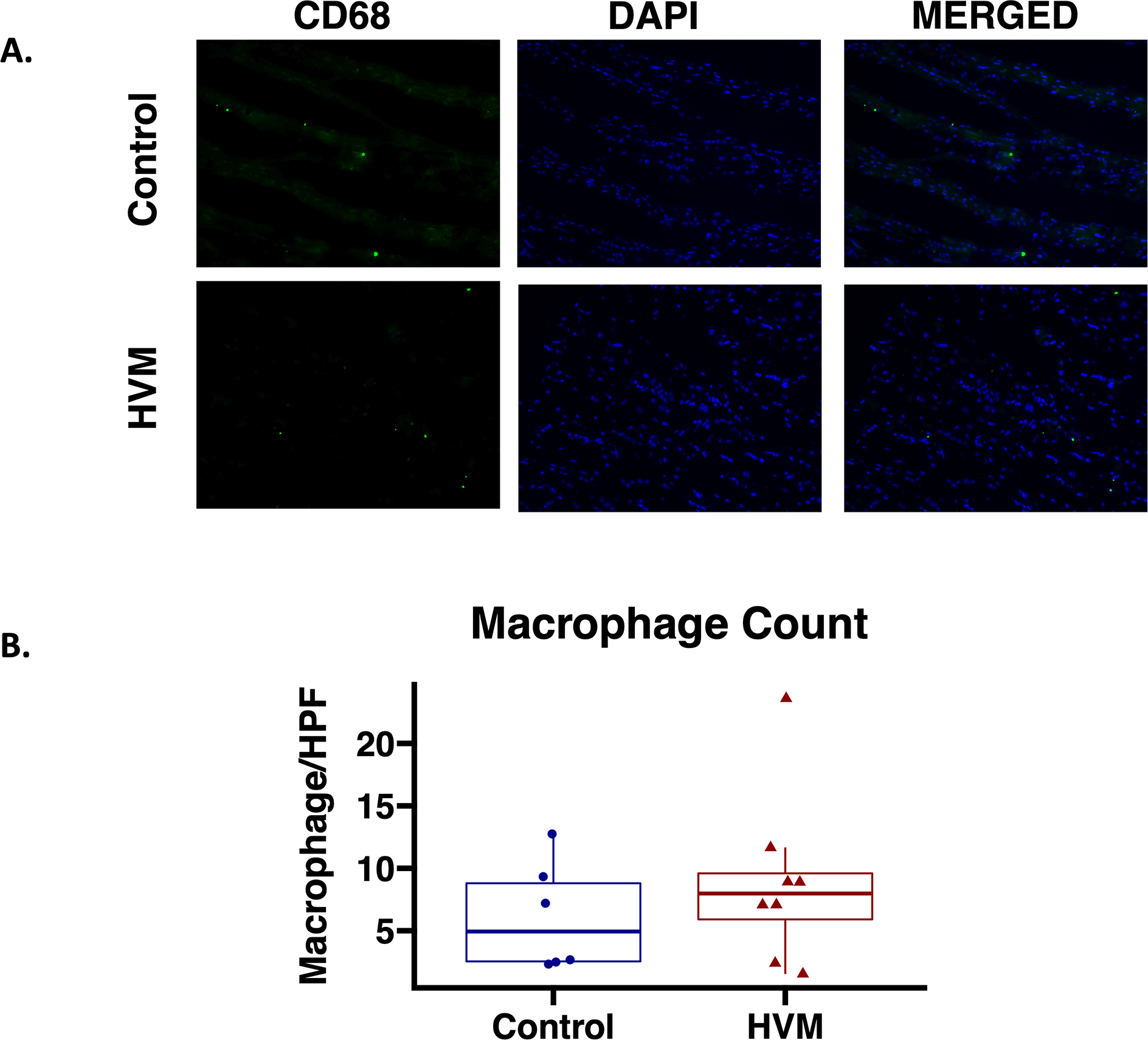 Figure 4: