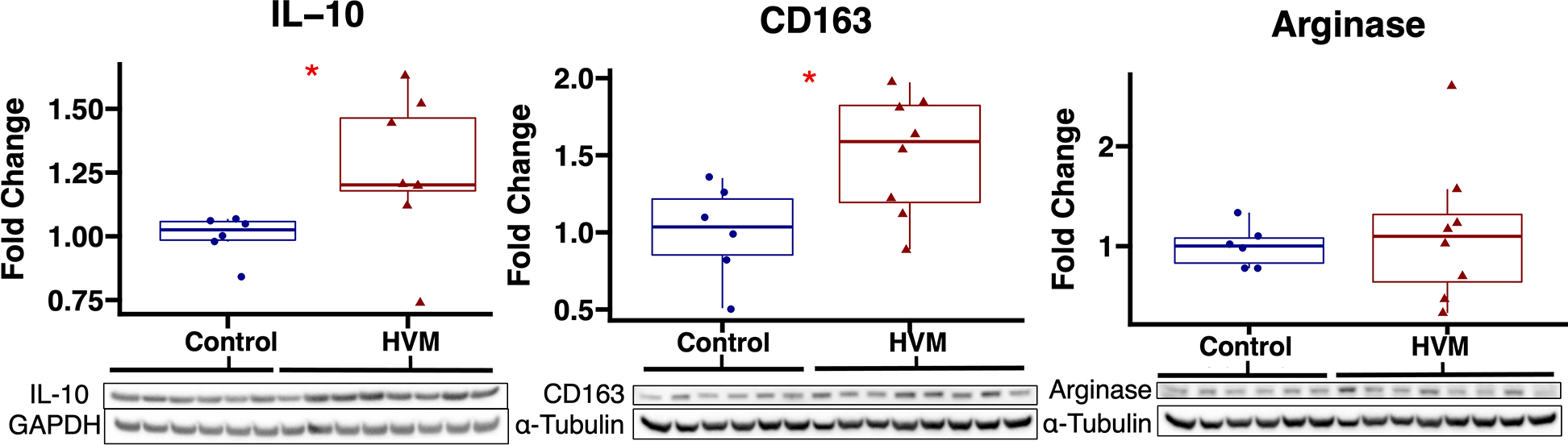 Figure 3: