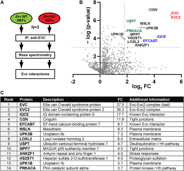 FIGURE 1