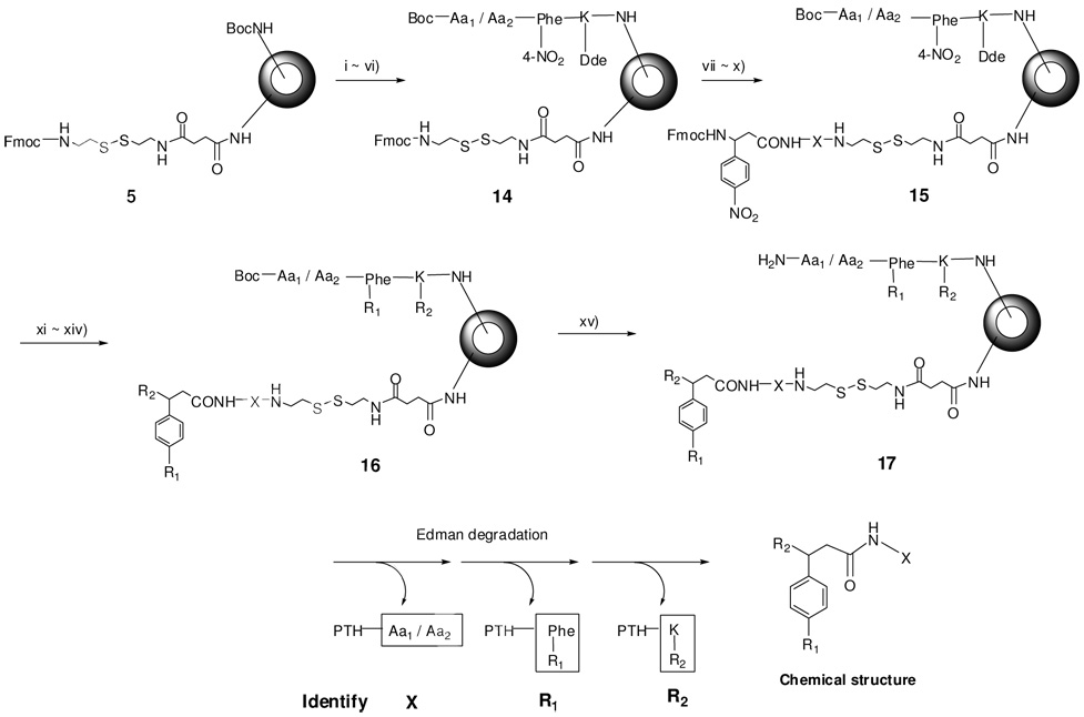 Scheme 4