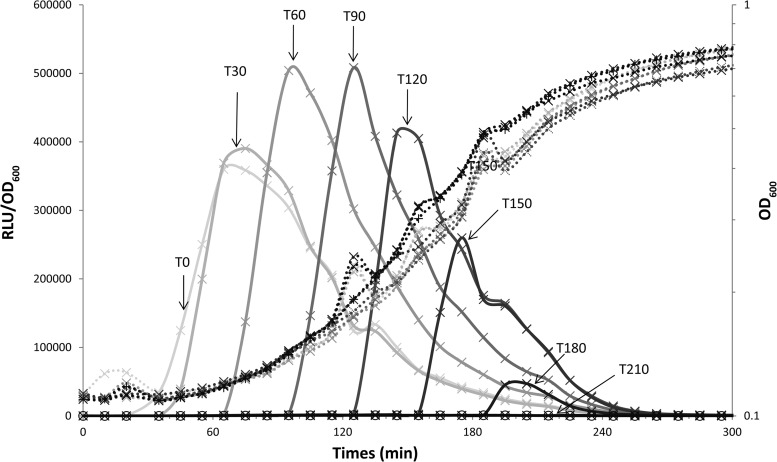 Fig 6