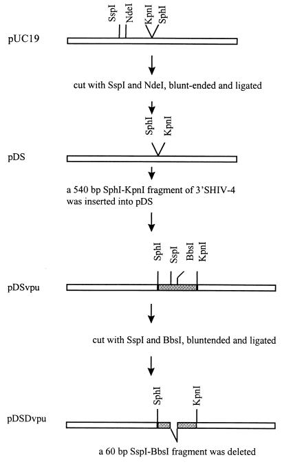 FIG. 1