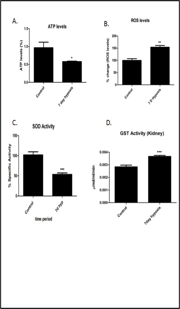 Fig 10