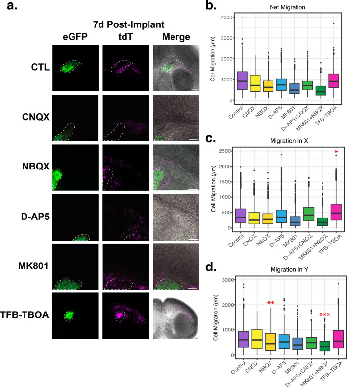 Fig. 6