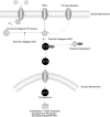 FIG. 6.