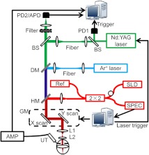 Fig. 1