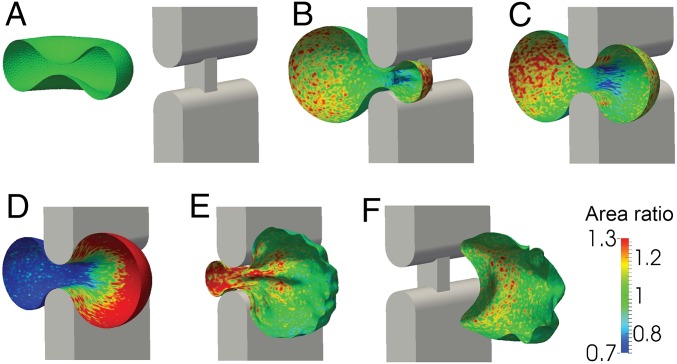 Fig. 4.