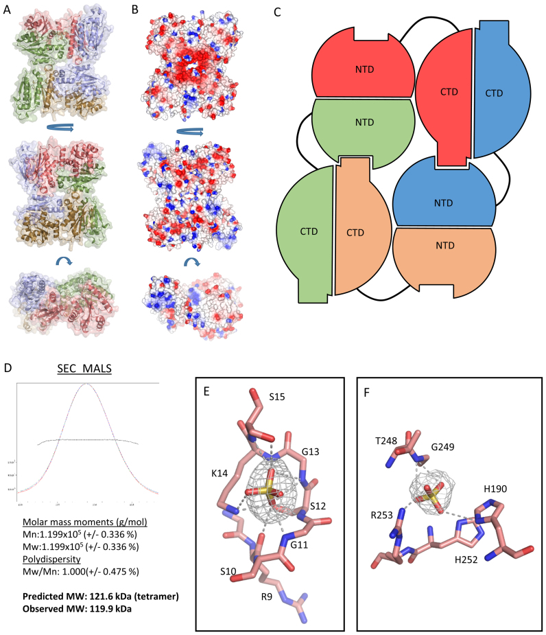 Figure 4.