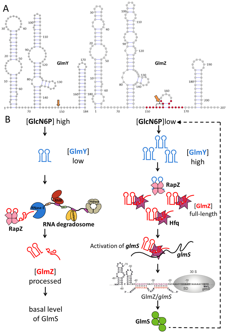 Figure 1.