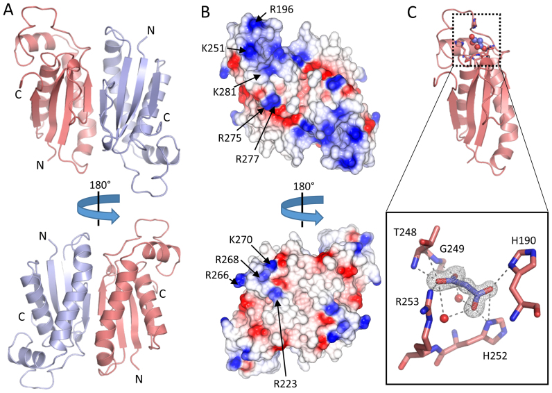 Figure 3.