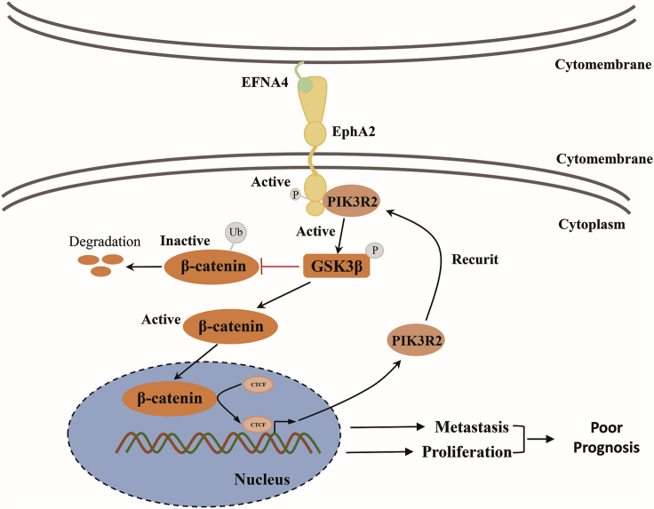 Figure 7