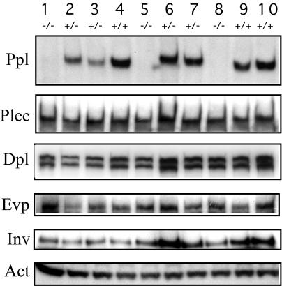 FIG. 6.